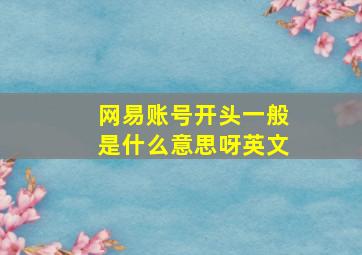 网易账号开头一般是什么意思呀英文