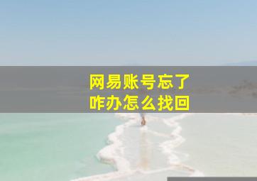 网易账号忘了咋办怎么找回