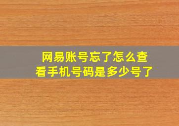 网易账号忘了怎么查看手机号码是多少号了