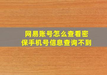 网易账号怎么查看密保手机号信息查询不到