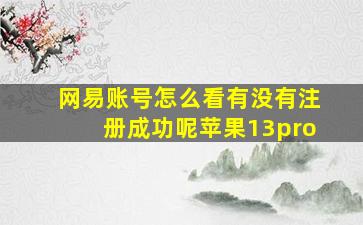 网易账号怎么看有没有注册成功呢苹果13pro