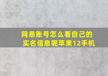 网易账号怎么看自己的实名信息呢苹果12手机