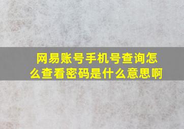 网易账号手机号查询怎么查看密码是什么意思啊