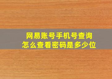 网易账号手机号查询怎么查看密码是多少位