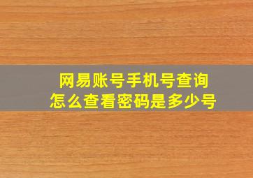 网易账号手机号查询怎么查看密码是多少号