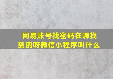 网易账号找密码在哪找到的呀微信小程序叫什么