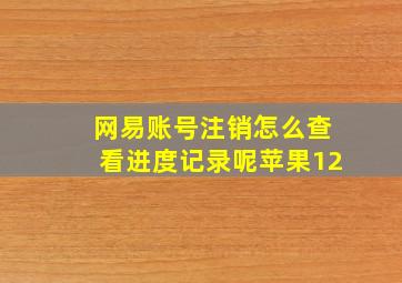 网易账号注销怎么查看进度记录呢苹果12