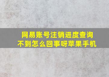 网易账号注销进度查询不到怎么回事呀苹果手机