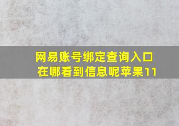 网易账号绑定查询入口在哪看到信息呢苹果11