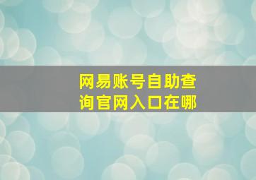 网易账号自助查询官网入口在哪