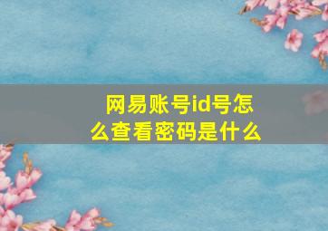 网易账号id号怎么查看密码是什么