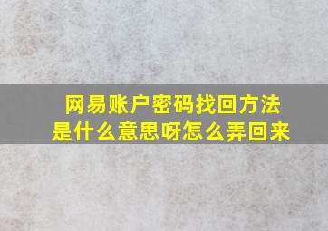 网易账户密码找回方法是什么意思呀怎么弄回来