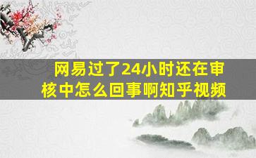 网易过了24小时还在审核中怎么回事啊知乎视频