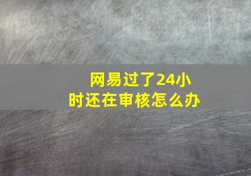 网易过了24小时还在审核怎么办