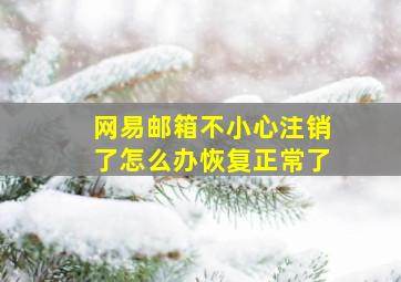 网易邮箱不小心注销了怎么办恢复正常了