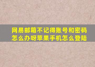 网易邮箱不记得账号和密码怎么办呀苹果手机怎么登陆