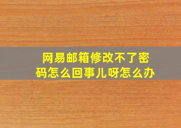 网易邮箱修改不了密码怎么回事儿呀怎么办