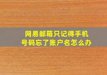 网易邮箱只记得手机号码忘了账户名怎么办