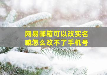 网易邮箱可以改实名嘛怎么改不了手机号