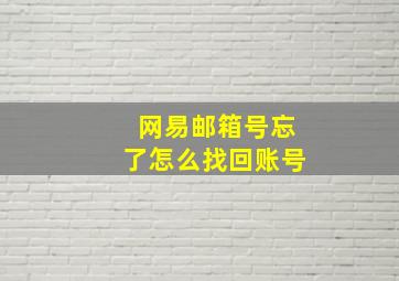 网易邮箱号忘了怎么找回账号