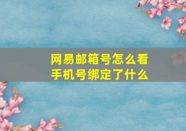 网易邮箱号怎么看手机号绑定了什么