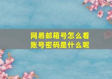 网易邮箱号怎么看账号密码是什么呢