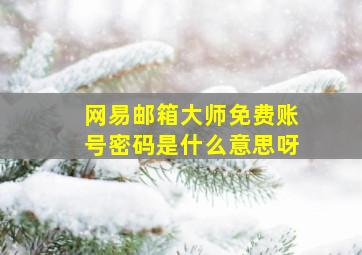 网易邮箱大师免费账号密码是什么意思呀