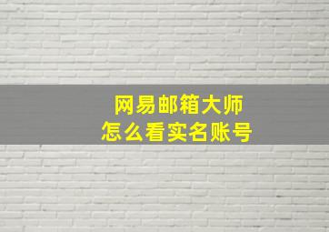 网易邮箱大师怎么看实名账号