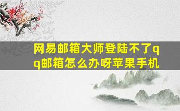 网易邮箱大师登陆不了qq邮箱怎么办呀苹果手机