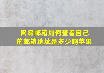 网易邮箱如何查看自己的邮箱地址是多少啊苹果