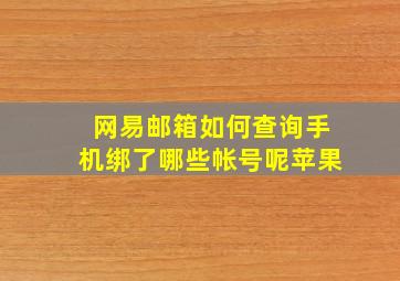 网易邮箱如何查询手机绑了哪些帐号呢苹果