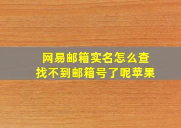 网易邮箱实名怎么查找不到邮箱号了呢苹果