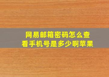 网易邮箱密码怎么查看手机号是多少啊苹果