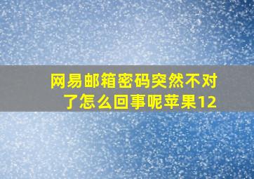 网易邮箱密码突然不对了怎么回事呢苹果12