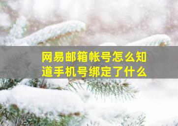 网易邮箱帐号怎么知道手机号绑定了什么