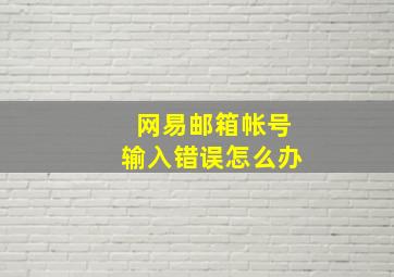 网易邮箱帐号输入错误怎么办