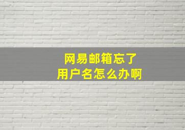 网易邮箱忘了用户名怎么办啊