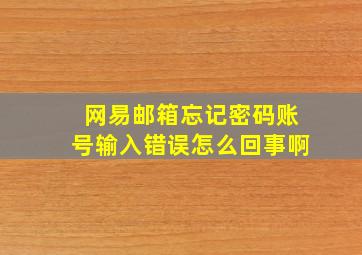 网易邮箱忘记密码账号输入错误怎么回事啊