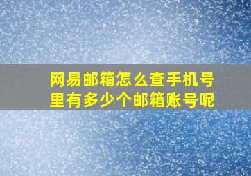 网易邮箱怎么查手机号里有多少个邮箱账号呢