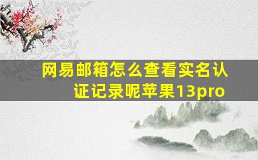 网易邮箱怎么查看实名认证记录呢苹果13pro