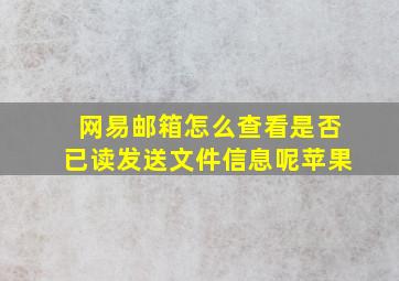 网易邮箱怎么查看是否已读发送文件信息呢苹果