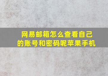 网易邮箱怎么查看自己的账号和密码呢苹果手机