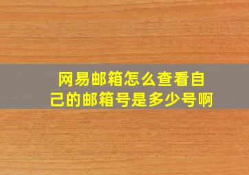 网易邮箱怎么查看自己的邮箱号是多少号啊