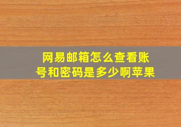 网易邮箱怎么查看账号和密码是多少啊苹果