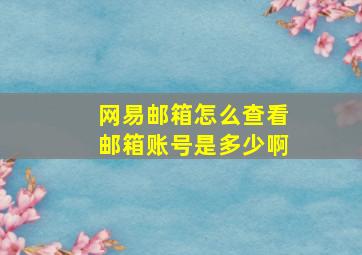 网易邮箱怎么查看邮箱账号是多少啊