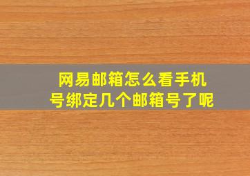 网易邮箱怎么看手机号绑定几个邮箱号了呢