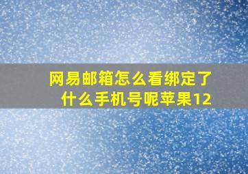 网易邮箱怎么看绑定了什么手机号呢苹果12