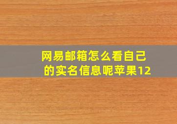 网易邮箱怎么看自己的实名信息呢苹果12