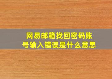 网易邮箱找回密码账号输入错误是什么意思