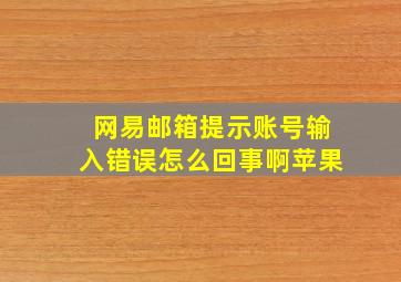 网易邮箱提示账号输入错误怎么回事啊苹果